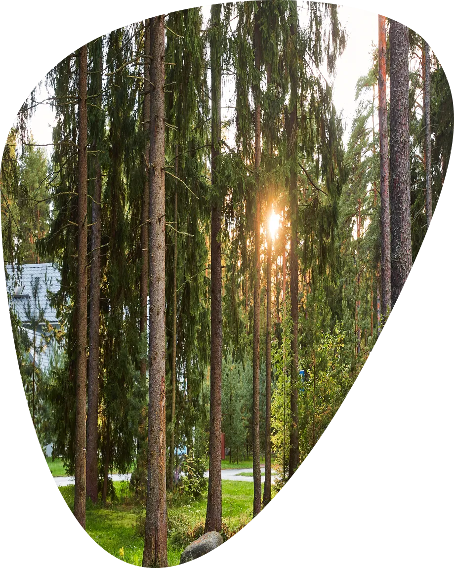 Первозданная природа Первозданная природа